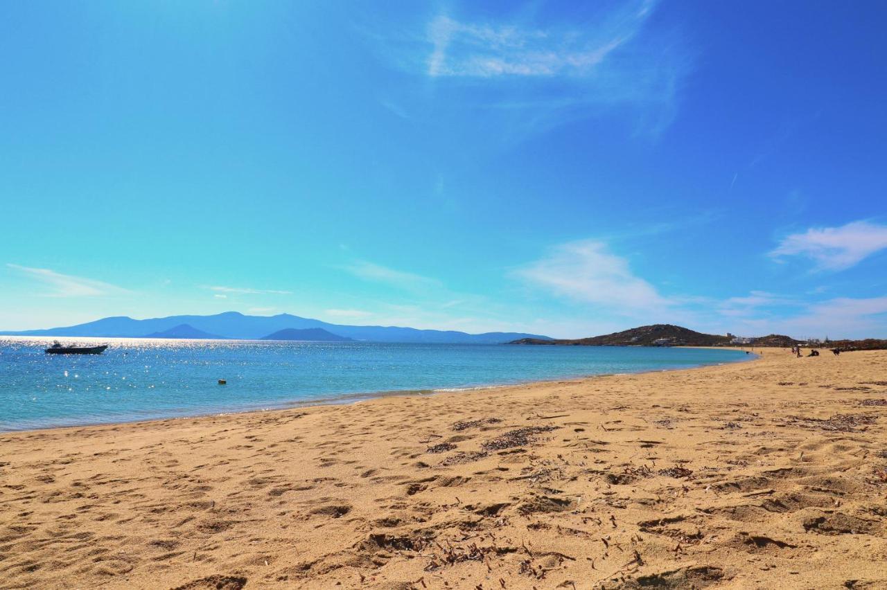 Beach Apartment Thalia With Hot Tub And Sea View Agios Prokopios  Buitenkant foto