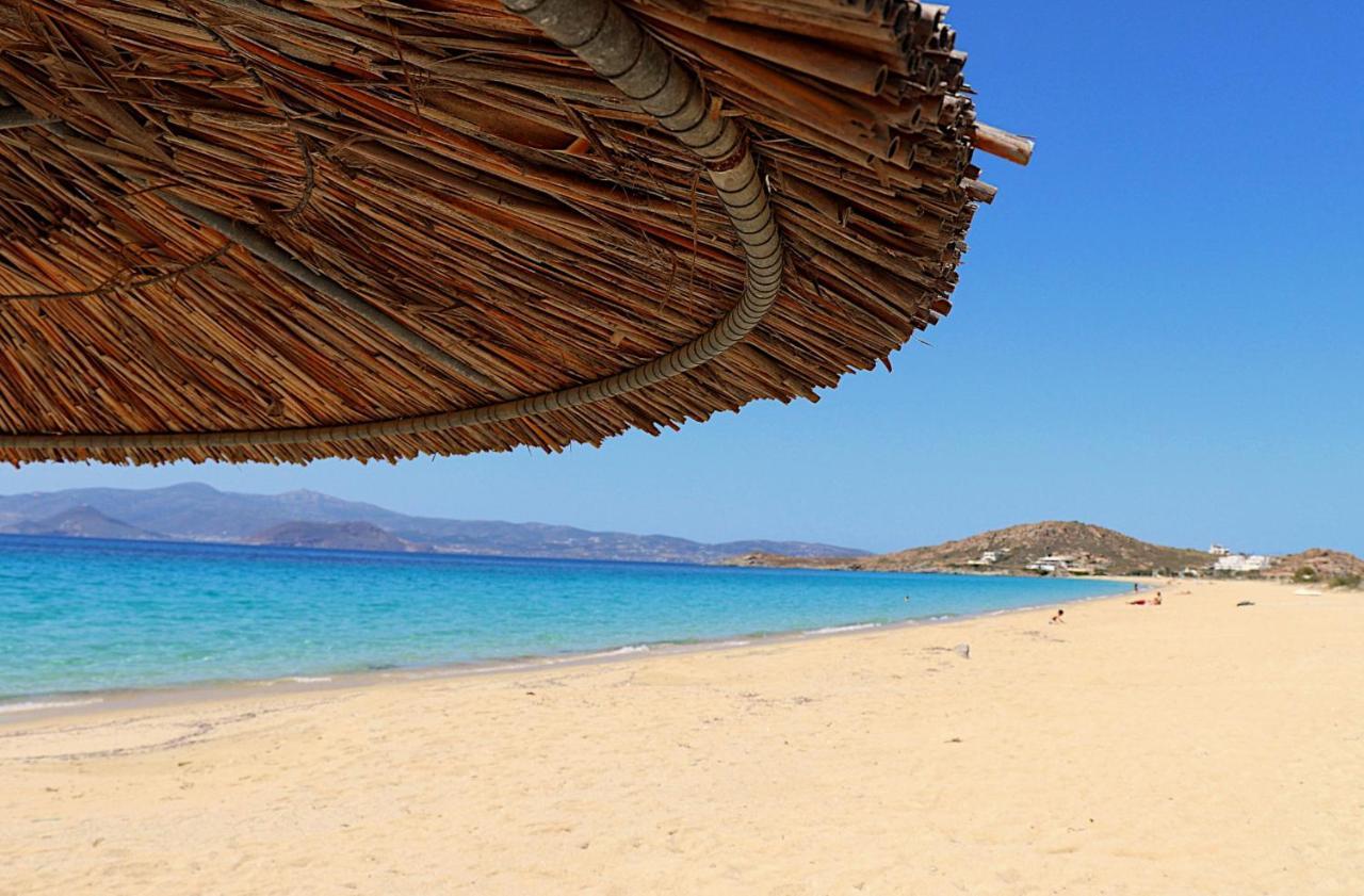 Beach Apartment Thalia With Hot Tub And Sea View Agios Prokopios  Buitenkant foto